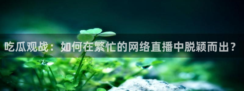 黑料吃瓜完整时间线