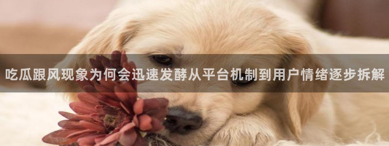 黑料后续进展