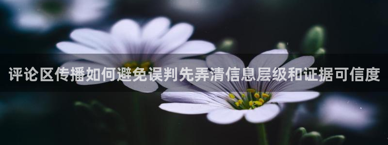 网红黑料信息汇总