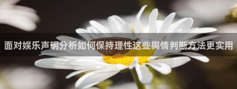 网络黑料后续进展