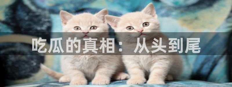 热门黑料真伪核验