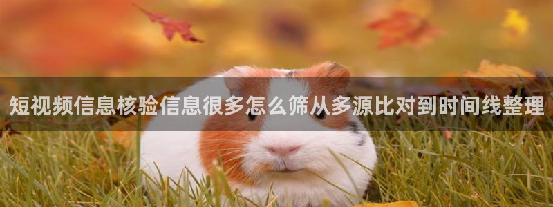 网红黑料最新消息
