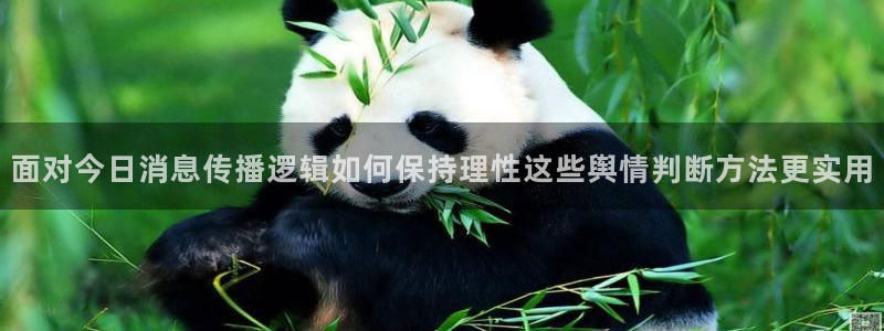 热门黑料事件始末