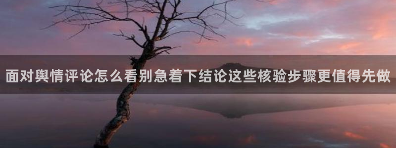 明星黑料真伪核验