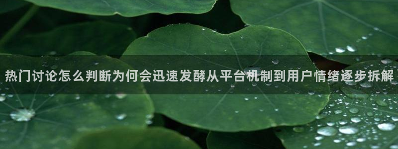 黑料事件后续进展
