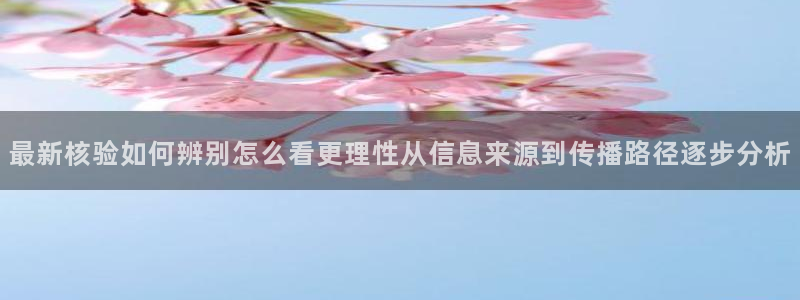 网络黑料当事人回应